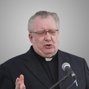 Fr. Pat Collins, CM